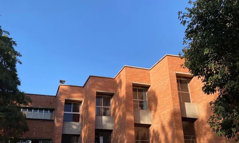 Cum am învățat să spun „Nu” – Povestea mea despre curaj și limite într-o familie cu secrete