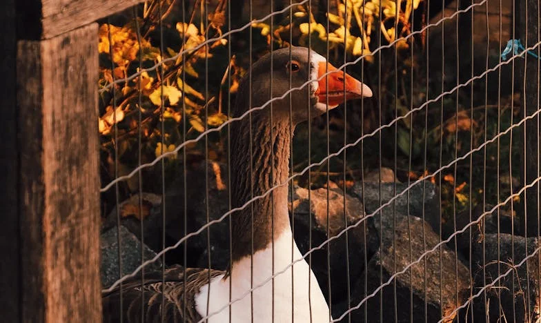 De ce mă compară mereu cu fosta lui? Lupta mea pentru valoare în umbra trecutului