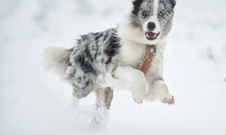 Dreptul de a fi obosit: O seară care mi-a schimbat viața