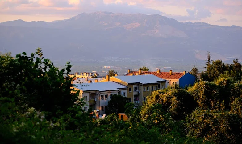 Familia pe care n-am avut-o niciodată – povestea Veronicăi