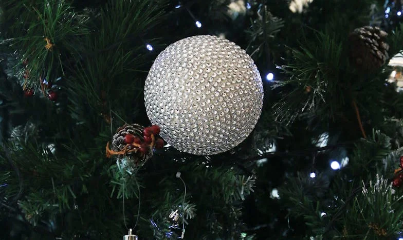 Fără pătuț, fără scutece: Întoarcerea acasă care mi-a schimbat viața