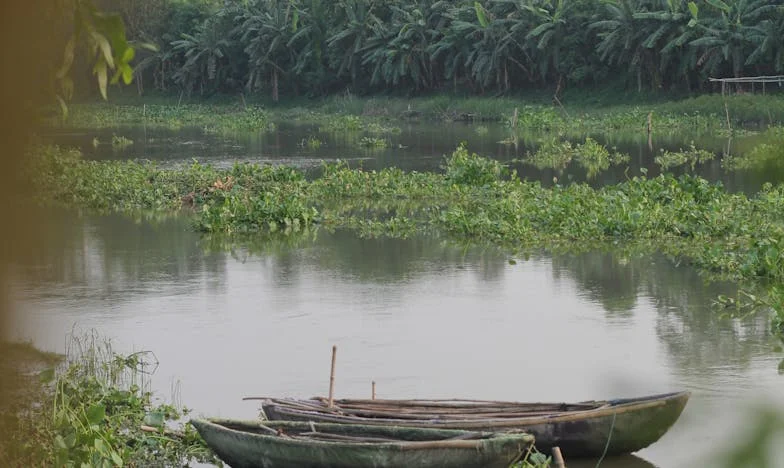 Fiul meu nu va fi stâlpul casei: O luptă între tradiție și propriile convingeri