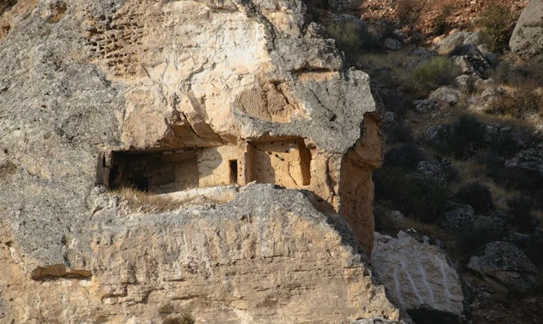 Fratele meu ne-a invitat de Crăciun. Soția lui nu ne vrea acolo.
