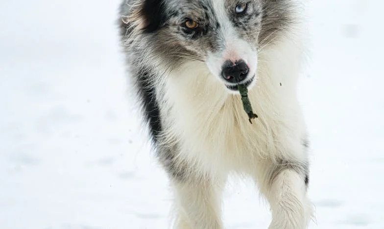 Iartă-mă, Ana – Așa a spus soacra mea cu lacrimi în ochi – Dumnezeu deja m-a pedepsit