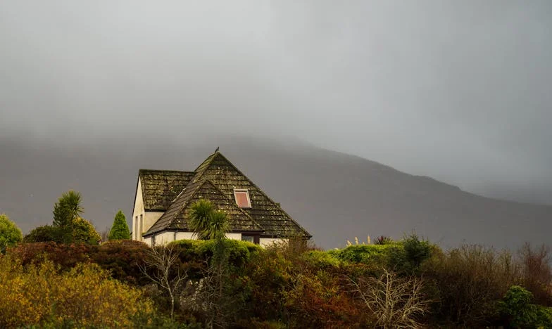 Între două focuri: Povestea unei nurori românce și lupta pentru locul ei în familie