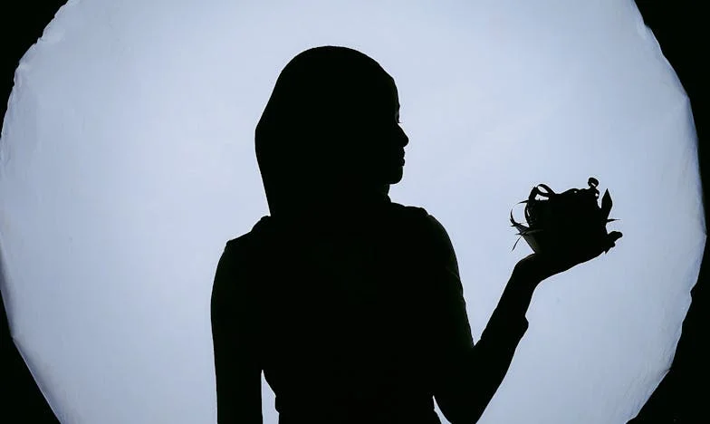 Între două lumi: Lupta mea pentru fiul nostru