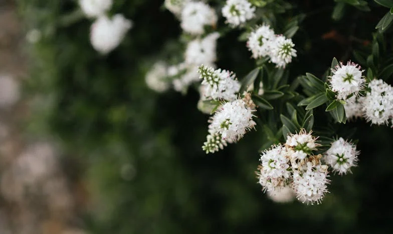 Între două mese: Povestea unei cine care a schimbat totul