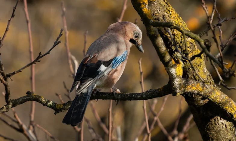 Între patru pereți: Când părinții te alungă din viața lor