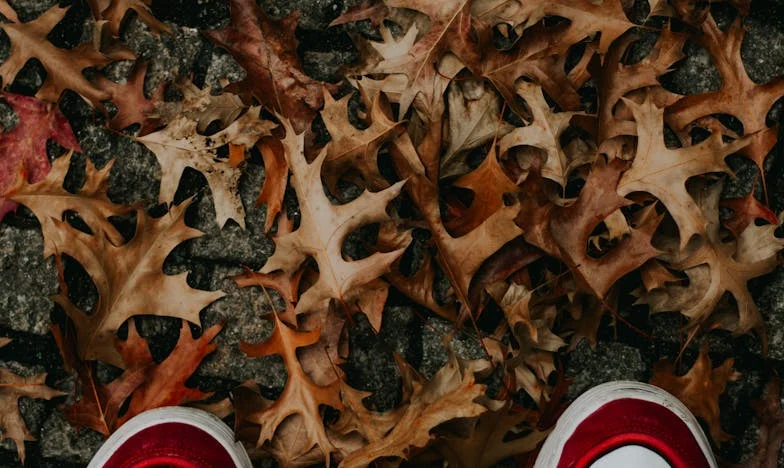 Între vină și dorință: Povestea mea în umbra familiei