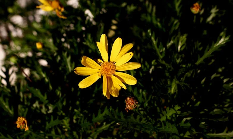 Marea care ne-a despărțit: De ce nu mai vreau niciodată să merg în vacanță cu familia soțului meu