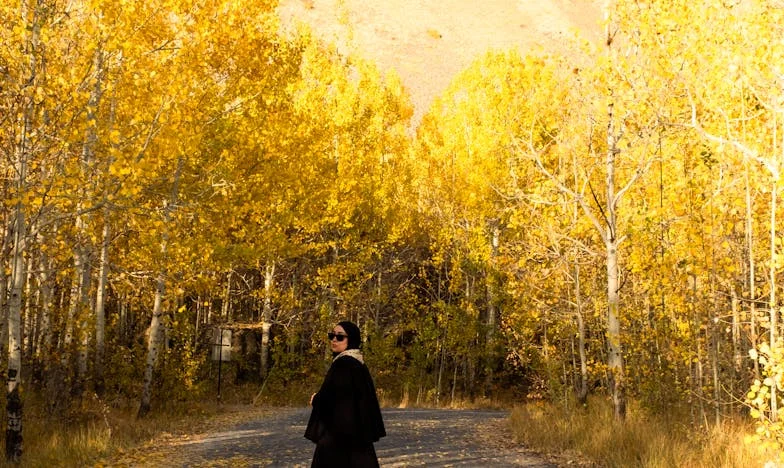 Moștenirea care a sfâșiat familia: Povestea mea între iubire și lăcomie