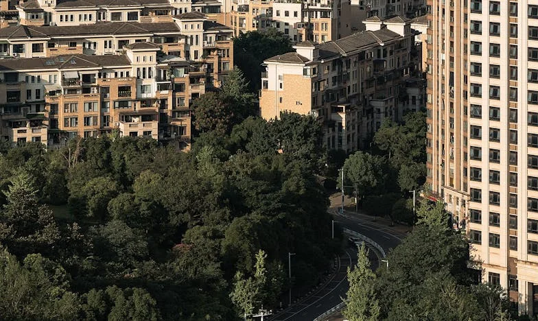 „Nu mai pot, Vlad! Nu sunt menajera ta!” – Povestea mea despre lupta pentru egalitate în familie