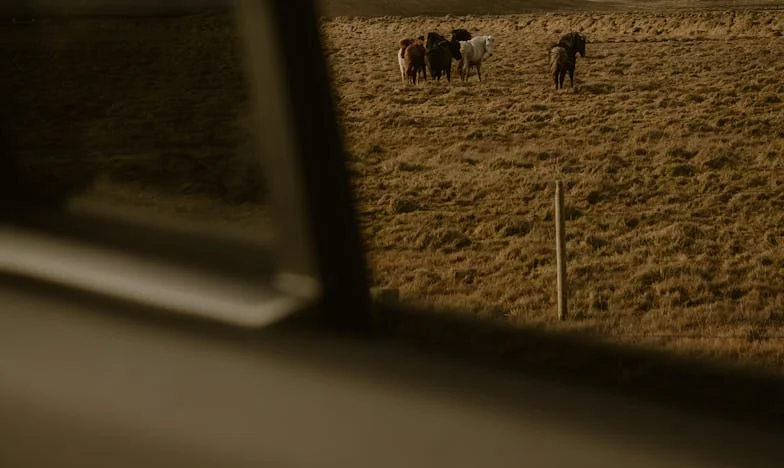 Nunta Fără Părinți: Povestea Unei Mame Rănite