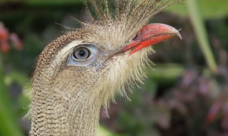 O fotografie, o minciune și o viață întreagă de regrete