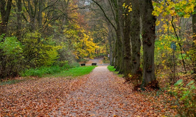 Povara moștenirii: între durere și lupta pentru fiul meu