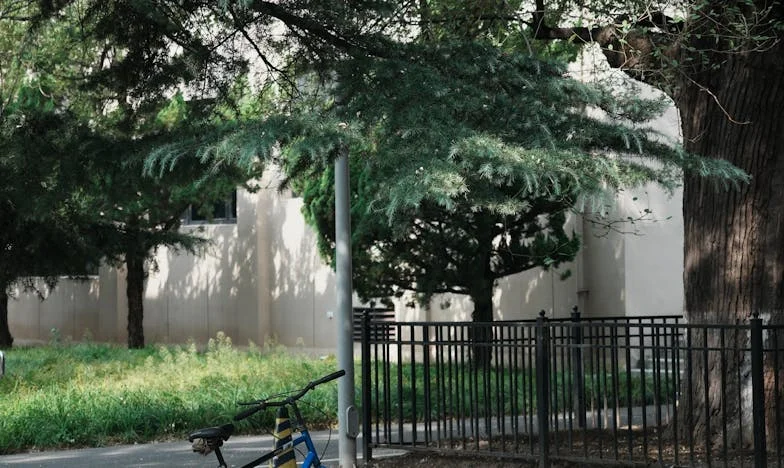 Promisiunea care ne-a rupt familia: O poveste despre dreptate și iubire între frați