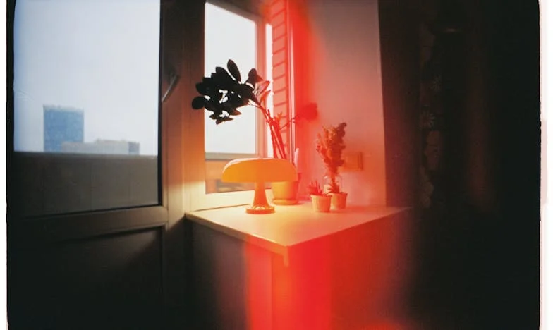 Să-i dau apartamentul fratelui meu? Povestea unei familii care m-a sfâșiat între datorie și dreptate