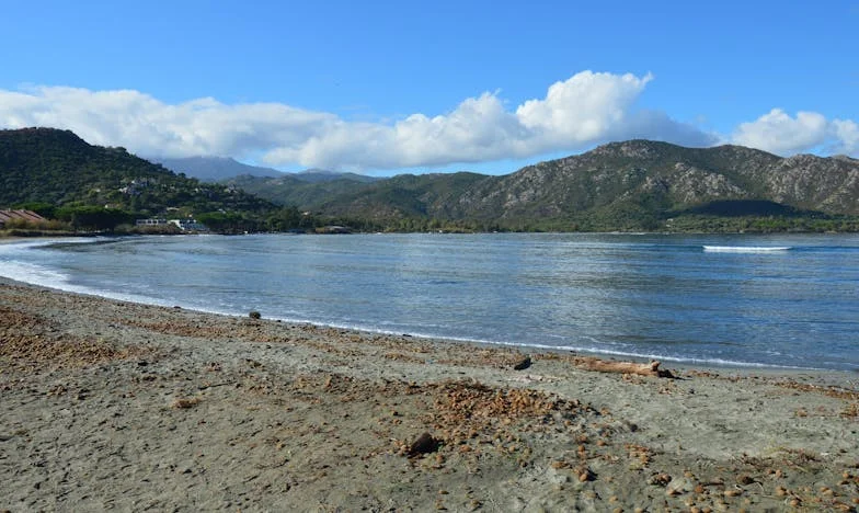 Scrisoarea care mi-a sfâșiat viața: O poveste despre trădare, curaj și renaștere