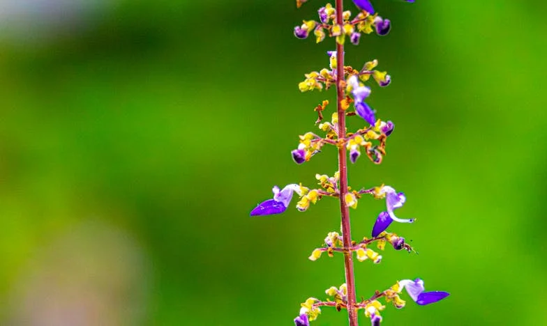 Singur printre umbre: Povestea unui tată rămas singur