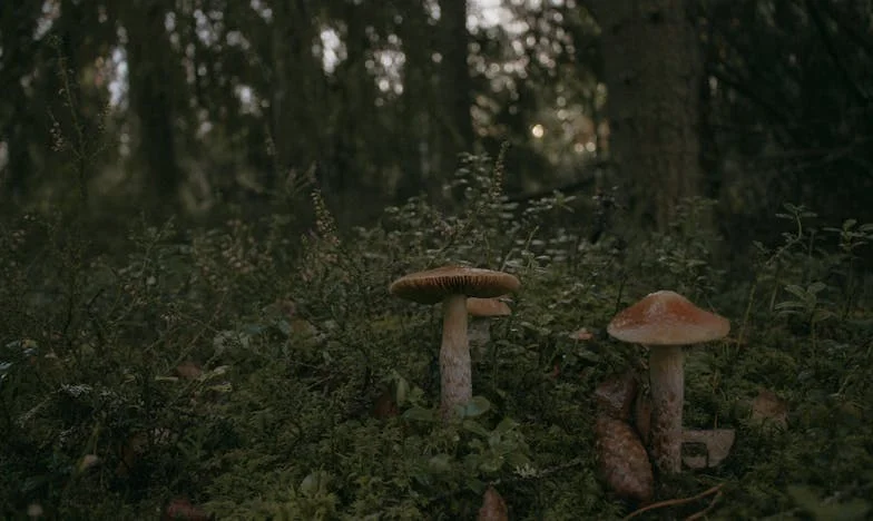 „Toate zilele mele sunt la fel?” – Povestea unei mame invizibile