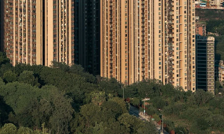 Totul pe umerii mei: Mărturia unei fiice despre povara familiei