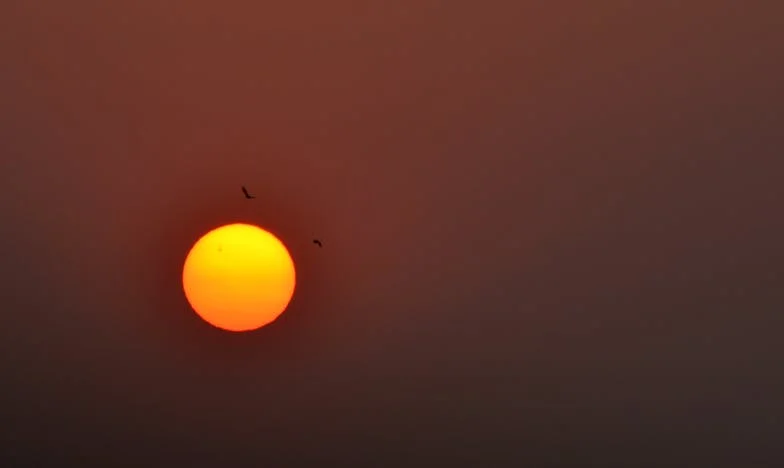 Trei luni de tăcere: Cum am învățat să iert trădarea soțului și să-mi salvez familia