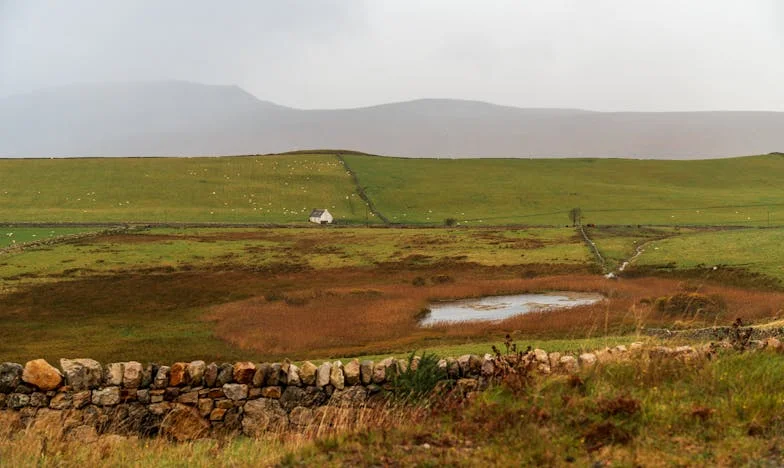 Trei luni de tăcere: Cum o vacanță a destrămat familia noastră