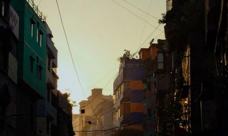 Umbrele din casa noastră: O săptămână care mi-a schimbat viața