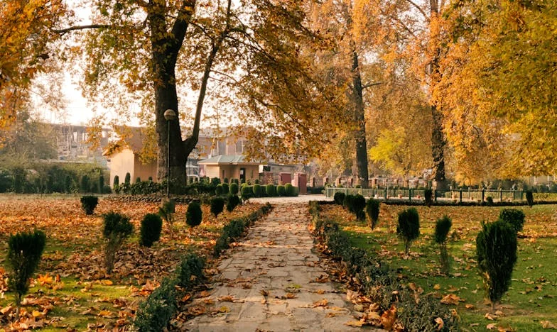 Umbrele din Schimbătorul de Viteze