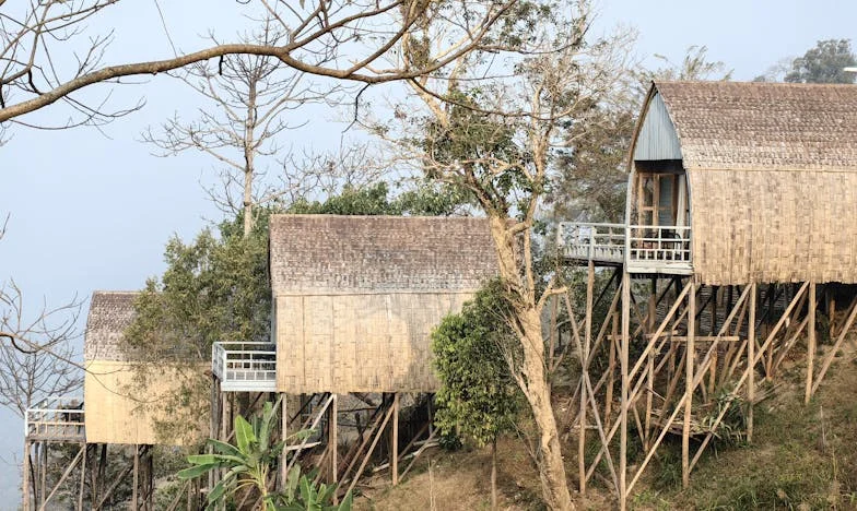 Umbrele trecutului: Mărturisirea mamei