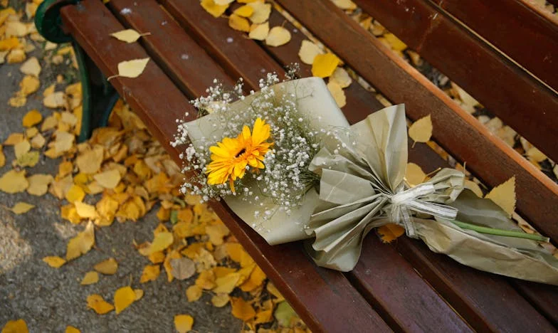 Vara sau adevăr? Vara în care am învățat ce înseamnă să iubești cu frică