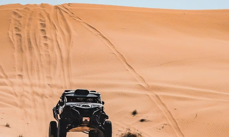 Ziua în care am spus „Nu” – Aniversarea care a rupt familia