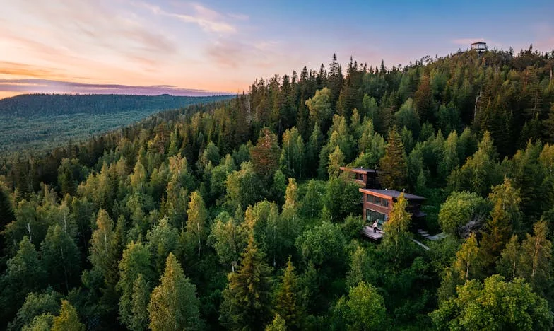 Adevărul care doare: Povestea unei mame din București