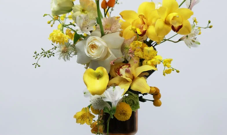 „Ai o lună să pleci din casa mea!” – Povestea unei nurori între așteptările familiei și propriile vise