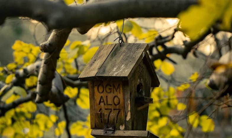 „Ai o lună să pleci din casa mea!” – Povestea unei vieți la răscruce