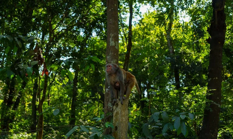 Am dat totul și am rămas cu nimic – Povestea mea despre regăsire după ani de viață în umbra soțului