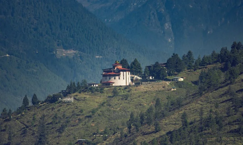 Am fost o mamă rea când i-am dat afară?