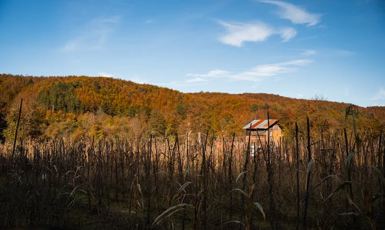 Când a trebuit să-mi apăr fiica – Prejudecăți, trădare și alegerea unei mame