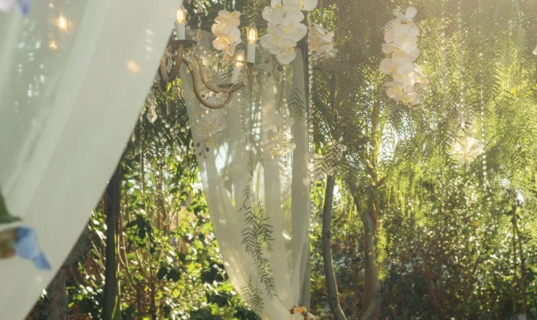 Când acasă nu mai înseamnă acasă: Povestea unei schimbări forțate