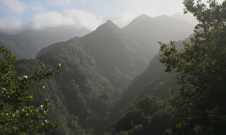 Când adevărul doare: Lupta mea pentru dreptate în familie