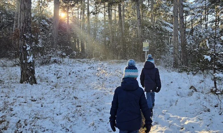 Când adevărul doare: Lupta unui tată pentru fiul său într-o școală românească