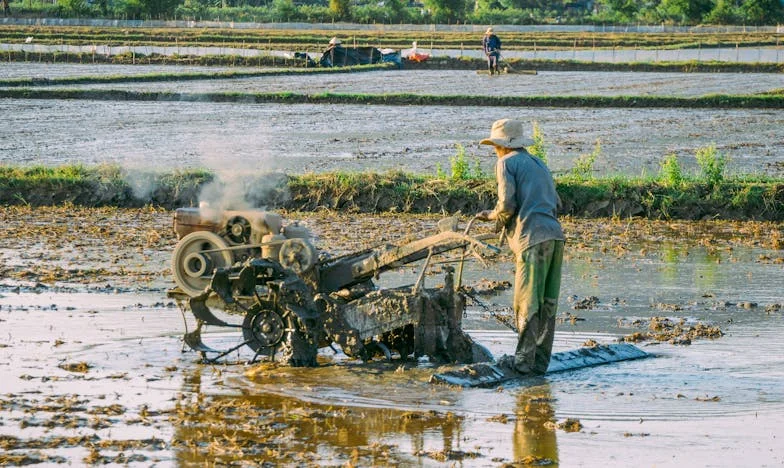 Când afli de nunta fiului tău de la vecină: Povestea Anei și tăcerea din familie