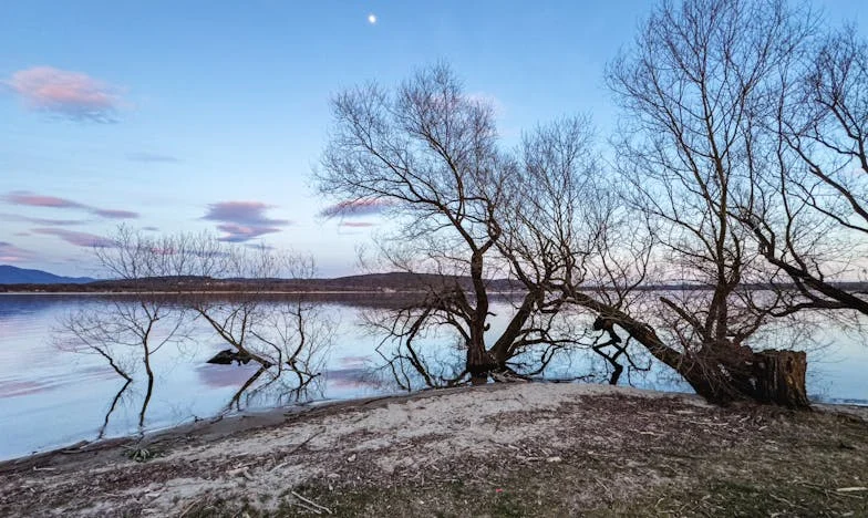 Când am avut cea mai mare nevoie de sprijin, familia soțului m-a lăsat singură: Nu voi mai fi colacul lor de salvare