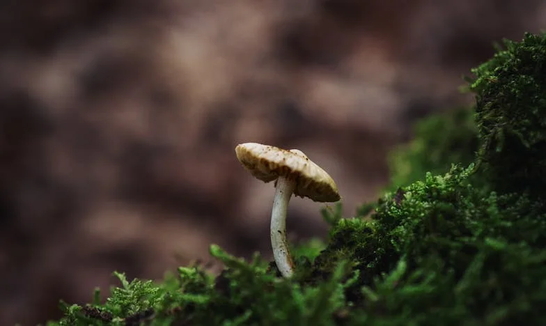 Când copiii altora devin grija ta: Mărturia unei mătuși din România