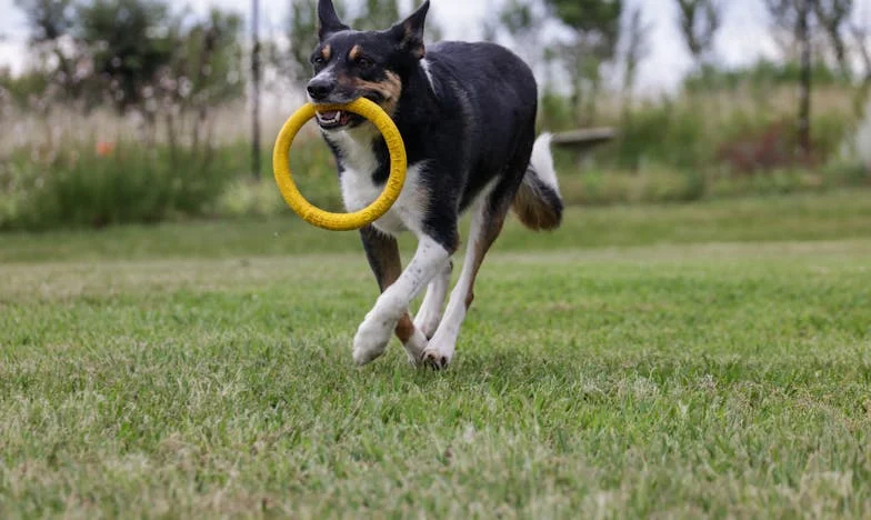 Când dragostea dispare: Povestea regăsirii de sine