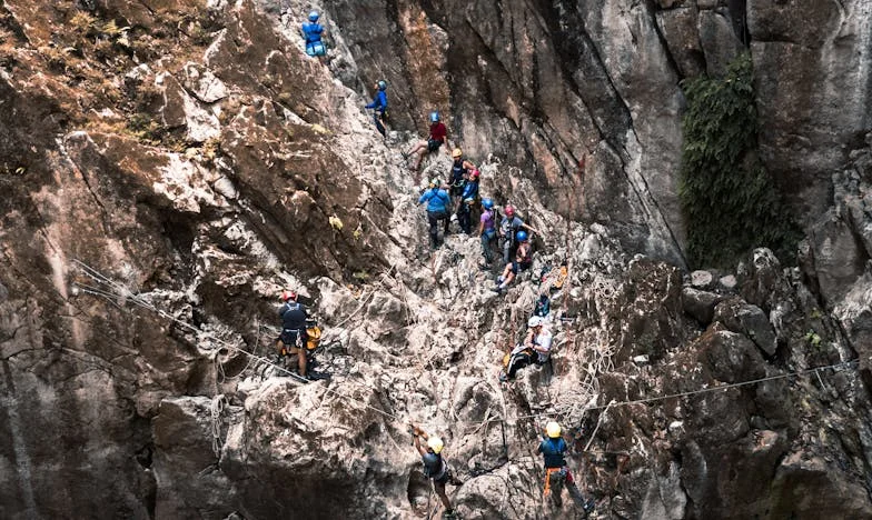 Când familia devine un câmp de luptă: Adevărul din spatele minciunilor mătușii mele