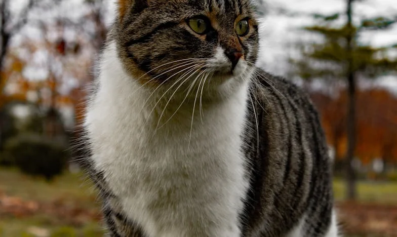 Când fiica mea a dispărut din viața noastră: Povestea unei mame care nu mai recunoaște copilul crescut cu dragoste