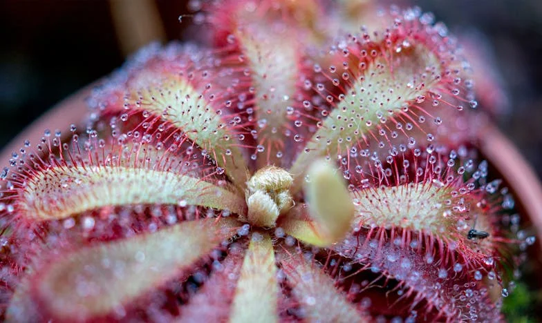 Când soacra m-a dat afară din casă: Povestea unei femei din București despre iubire, umilință și regăsire