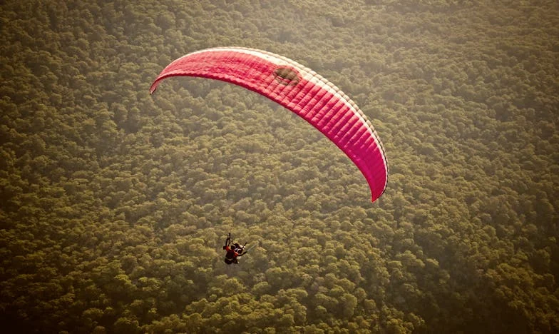 Când soțul meu a dat toată mâncarea mea mamei lui – furtuna din bucătăria românească