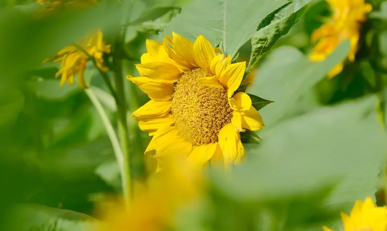 Când viața ne-a pus la încercare: Povestea unei familii între datorii, iertare și speranță